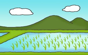 受験ラサール水前寺 田植え体験
